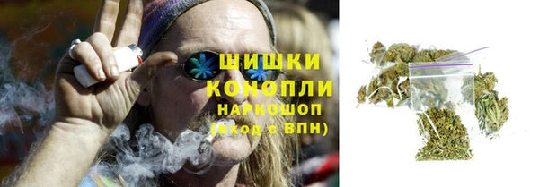 прущая мука Магас