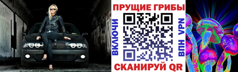 Псилоцибиновые грибы Cubensis  купить  сайты  Зима 
