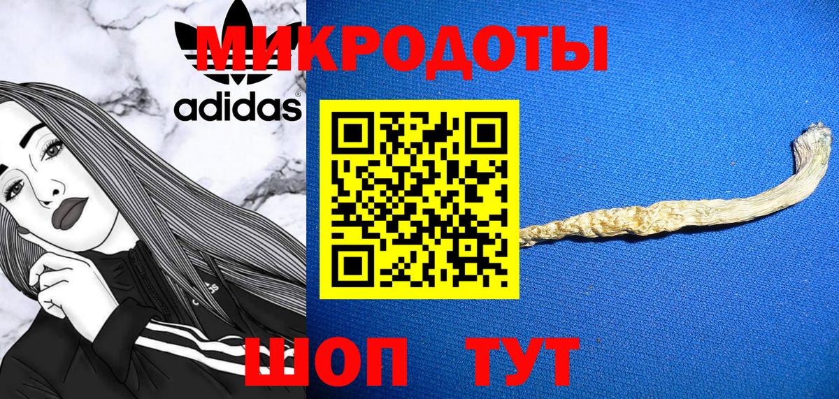 Псилоцибиновые грибы мицелий Зима