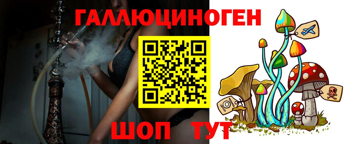 Зима  Псилоцибиновые грибы прущие грибы  Псилоцибиновые грибы MAGIC MUSHROOMS  Вход с VPN 