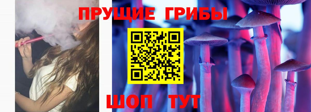 где купить наркоту  Зима  Псилоцибиновые грибы GOLDEN TEACHER 